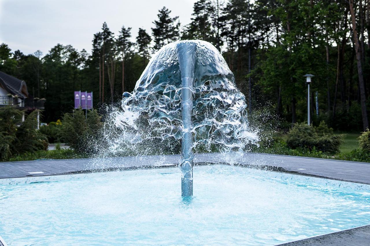 ג'אנוב לובלסקי Rezydencja Sosnowa Luxury Hotel מראה חיצוני תמונה